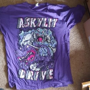 A Skylit Drive band tee merchandise size L